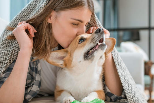 Ik mis mijn hond: 4 manieren om met het gemis om te gaan
