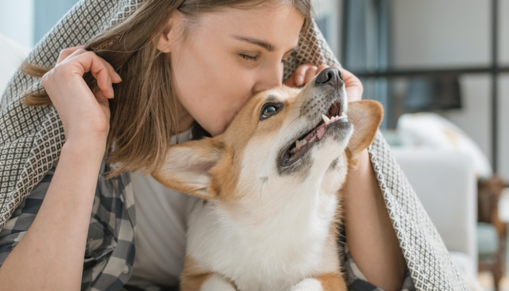 Ik mis mijn hond: 4 manieren om met het gemis om te gaan