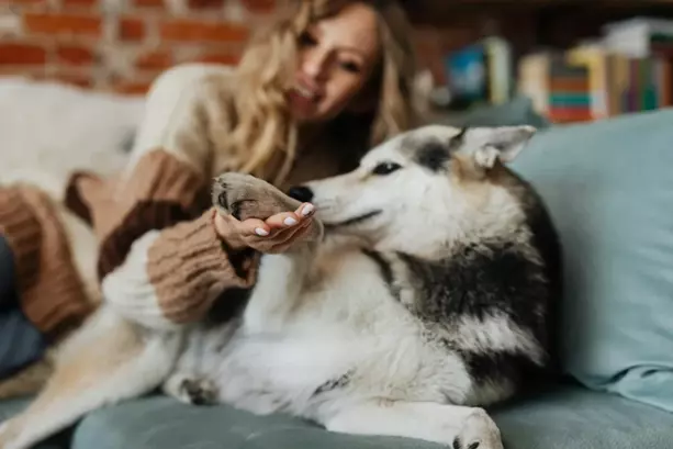 baasje met verdriet om overlijden hond